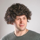 Карнавальный парик «Кудрявый», 90 г - Фото 1