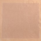 Ацетатный лист для скрапбукинга, 30.5 х 30.5 см, 25 мкр - Фото 2