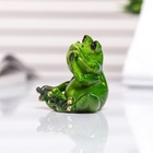 Фигурка полистоун лак «Лягуха отдыхает», 3.5×6×5 см, МИКС - Фото 5