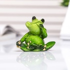 Фигурка полистоун лак «Лягуха отдыхает», 3.5×6×5 см, МИКС - Фото 6