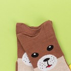 Носки детские «Медведь», цвет светло-коричневый, размер 12-14 - Фото 3