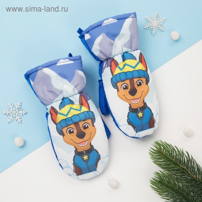 

Рукавицы (варежки) зимние PAW PATROL "Гончик" р-р 13 (3-4 года), синий