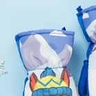 Рукавицы (варежки) зимние PAW PATROL "Гончик" р-р 13 (3-4 года), синий - фото 24069014