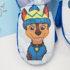 Рукавицы (варежки) зимние PAW PATROL "Гончик" р-р 13 (3-4 года), синий - фото 24069015