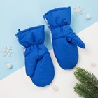 Рукавицы (варежки) зимние PAW PATROL "Гончик" р-р 13 (3-4 года), синий - фото 24069016