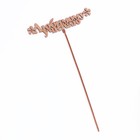 Топпер "Любимому учителю", золотой, 15,5×4,5 см Дарим Красиво 4406762