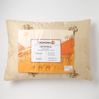 Подушка «Экономь и Я. Верблюд», 50×70 см, чехол ультрастеп, цвет МИКС 4446958