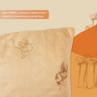 Подушка «Экономь и Я» 70×70 см, Верблюд чехол ультрастеп, цв. МИКС, п/э - Фото 3