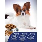 Сухой корм Sensitive для собак, гипоаллергенный, ягнёнок/рисом, 1.2 кг - Фото 4