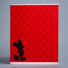 Тетрадь 48 листов в клетку Mickey «Микки Маус» - Фото 5