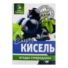 Кисель Смородиновый 200 г - Фото 2