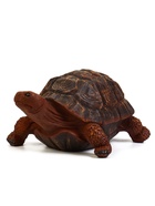 Садовая фигура из полистоуна «Черепаха», 30×22×15 см - Фото 5