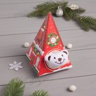 Носки детские в подарочной коробке "Мишка", 12-22см, белый - Фото 3