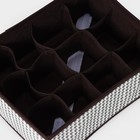 Органайзер для хранения белья Доляна «Вилли», 12 ячеек, 27×20×10 см, бело-коричневый - фото 8989417