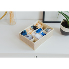 Органайзер для хранения белья Доляна «Европа», 12 ячеек, 27×20×10 см, цвет бежевый - Фото 6