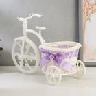 Корзина декоративная "Велосипед с круглой корзинкой" средняя 25х17х11 см МИКС - Фото 6