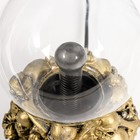 Плазменный шар "Черепа", 20 см RISALUX - Фото 7