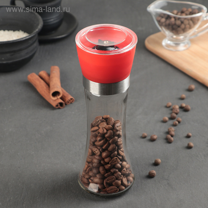 Мельница для специй «Модерн», 19×6,5 см, керамический механизм, цвет МИКС - Фото 1