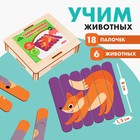 Головоломка. Собери 6 картинок «Лес», двусторонние палочки - Фото 1