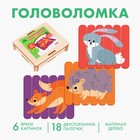 Головоломка. Собери 6 картинок «Лес», двусторонние палочки - Фото 2