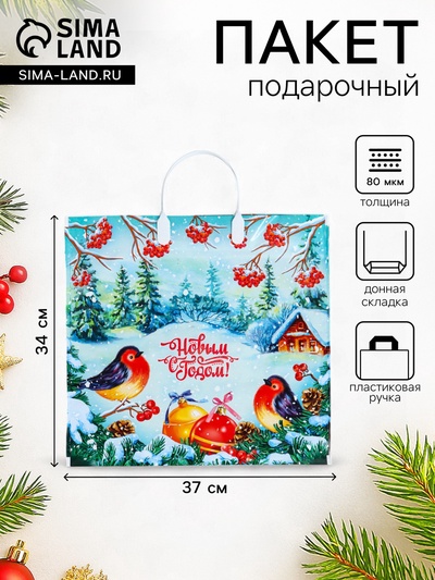 Пакет новогодний «Птичья трель», полиэтиленовый с пластиковой ручкой, 37×34 см