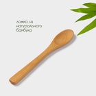 Ложка для сахара Доляна «Бамбуковый лес», 13.5 см - Фото 2