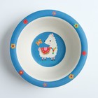 Миска детская из бамбука, цвет МИКС, 330 мл, 15,5х15,5х4,5, виды МИКС 4298755 - фото 14470811