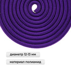 Скакалка для художественной гимнастики утяжелённая Grace Dance, 2,5 м, цвет фиолетовый - Фото 2