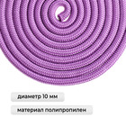 Скакалка для художественной гимнастики Grace Dance, 3 м, цвет сиреневый - Фото 2