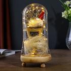 Фигурка светящаяся колба RISALUX «Астра белая», LED-ночник, 3ААА, 10×10×21 см - Фото 2