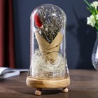 Фигурка светящаяся колба RISALUX «Астра белая», LED-ночник, 3ААА, 10×10×21 см - Фото 3