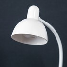 Лампа настольная на прищепке «Моно» LEd=5 Вт USB белый 16×16×38 см RISALUX - Фото 7