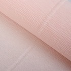 Бумага для упаковок и поделок, гофрированная, розовая, однотонная, двусторонняя, рулон 1 шт., 0,5 х 2,5 м - фото 8838070