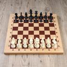 Шахматные фигуры, пластик, король h-9.5 см, пешка h-4.5 см - фото 5815024