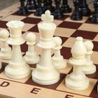 Шахматные фигуры, пластик, король h-9.5 см, пешка h-4.5 см - фото 3836121