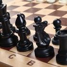 Шахматные фигуры, пластик, король h-9.5 см, пешка h-4.5 см - Фото 4