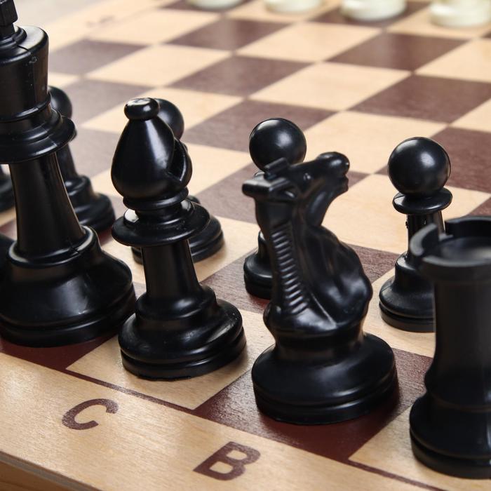 Шахматные фигуры, пластик, король h-9.5 см, пешка h-4.5 см - фото 1908472706