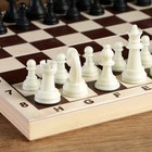 Шахматные фигуры, пластик, король h-6.2 см, пешка h-3 см - фото 4276338