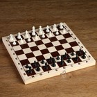 Шахматные фигуры, пластик, король h-4.2 см, пешка h-2 см - фото 4276342