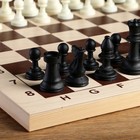 Шахматные фигуры, пластик, король h-9 см, пешка h-4.1 см - фото 4276346
