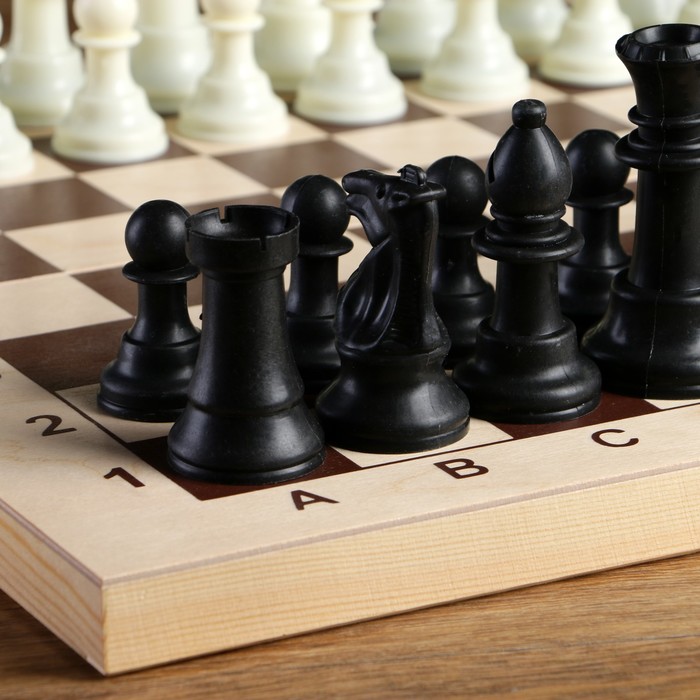 Шахматные фигуры, пластик, король h-10.5 см, пешка h-5 см - фото 1887881081