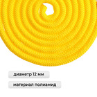 Скакалка для художественной гимнастики утяжелённая Grace Dance, 3 м, цвет жёлтый - Фото 2