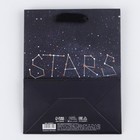 Пакет подарочный, упаковка, «Stars», MS 23 x 18 х 10 см  (артикул 4243614)  большой выбор товаров оптом и в розницу по низким ценам с доставкой