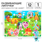 Игра развивающая на липучках «Изучаем кто где живет», Смешарики - Фото 1