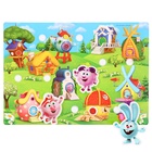 Игра развивающая на липучках «Изучаем кто где живет», Смешарики - Фото 5