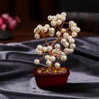 Бонсай декоративный «Жемчужное денежное дерево», 60 шт., 16.5×10×5.5 см, МИКС - Фото 3