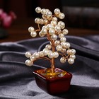 Бонсай декоративный «Жемчужное денежное дерево», 60 шт., 16.5×10×5.5 см, МИКС - Фото 4