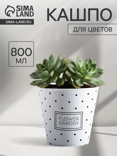 Кашпо для цветов Flower garden, 800 мл, d=11 см, h=12 см, пластиковое