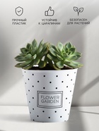 Кашпо для цветов Flower garden, 800 мл, d=11 см, h=12 см, пластиковое 4385241