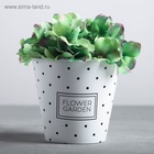 Кашпо для цветов Flower garden, 800 мл, d=11 см, h=12 см, пластиковое 4385241